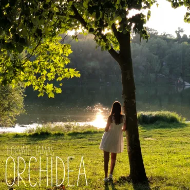 Horváth Tamás - Orchidea