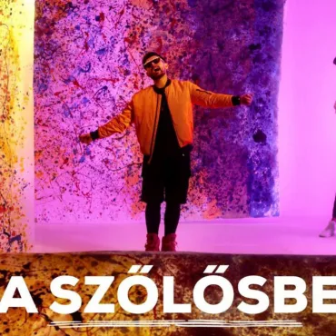 Horváth Tamás - A Szőlősbe