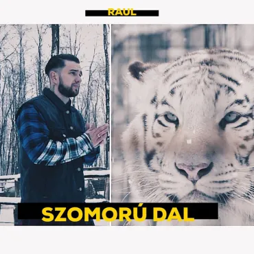 Raul	- Szomorú dal