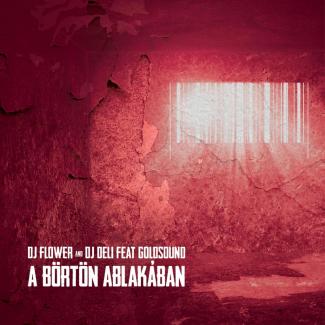 Dj Flower &amp;amp; Dj Deli feat Goldsound - A börtön ablakában