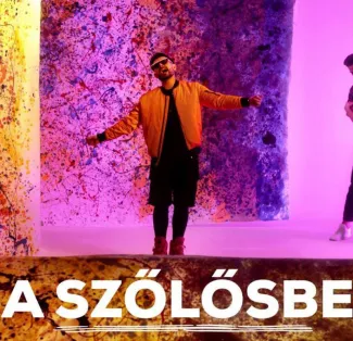 Horváth Tamás - A Szőlősbe